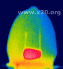 Unique Close Up thermal imaging