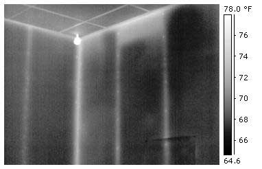 Energy audit infrared image of drywall. Note the nail heads visible in this high resolution image.