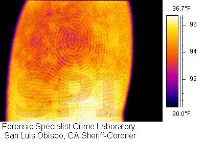 Thermal image of a finger print