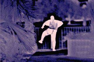 Thermal imaging cameras can spot fleeing suspects past the range of police flashlights in total darkness.